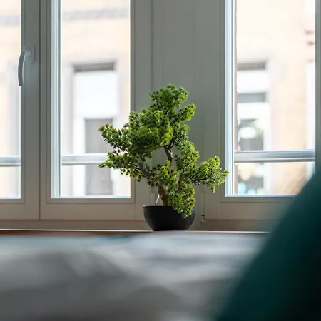 Lit Living - Deluxe - Box Spring - Parking - Neueröffnung - New Opening Apartment *